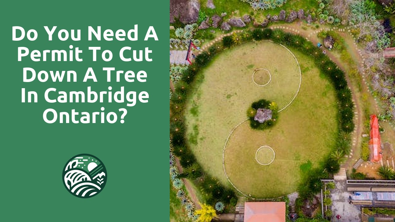 Do you need a permit to cut down a tree in Cambridge Ontario?