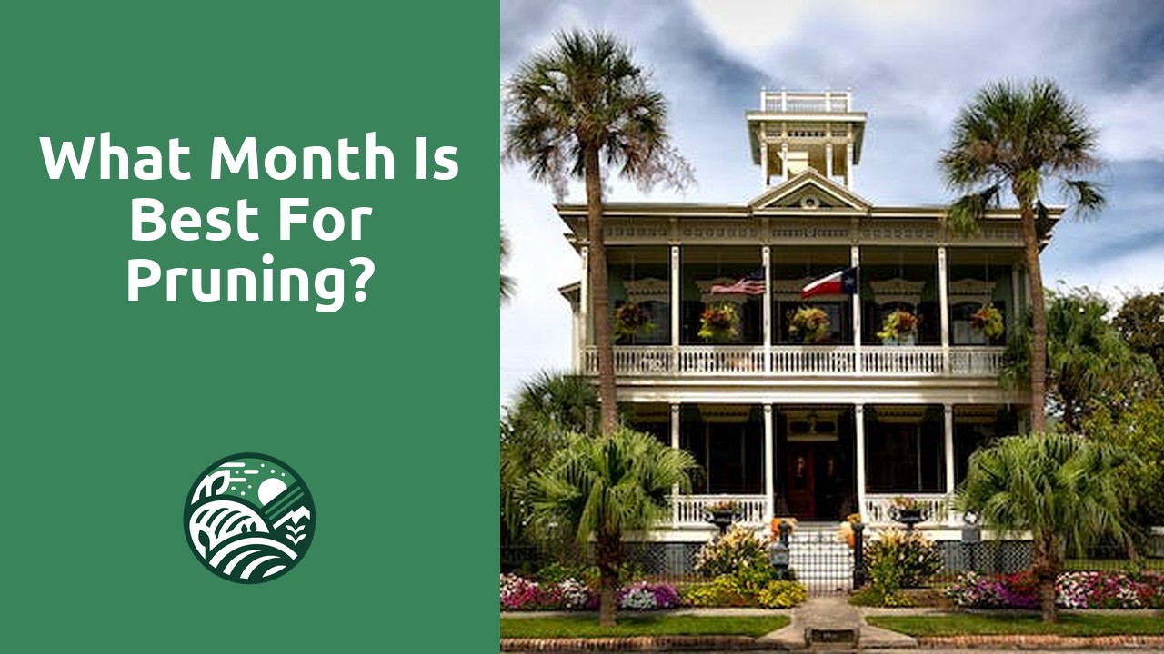 What month is best for pruning?